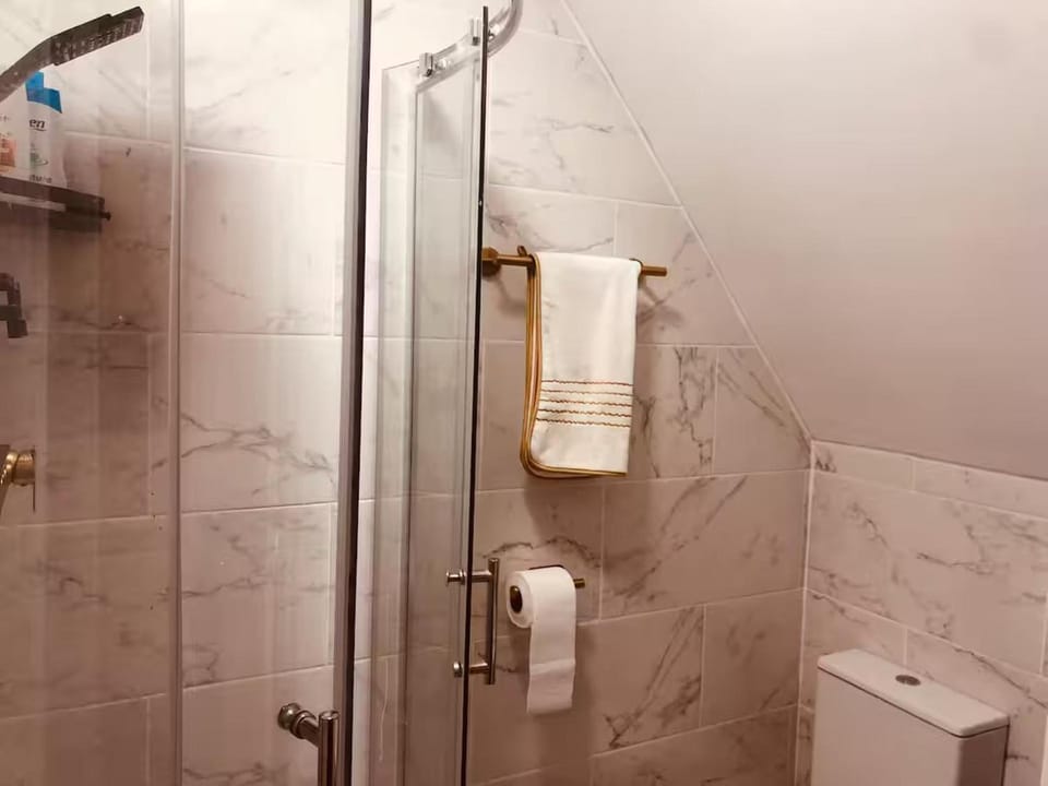 Shower, Toilet, Bathroom, towels