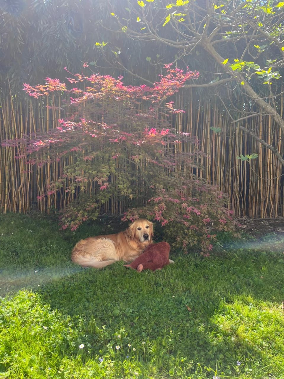 B&B Au Pain Quotidien Bed and Breakfast in Bourgogne-Franche-Comté