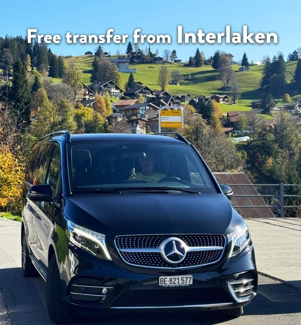 Luxury Swiss Chalet | Lake View • BBQ • A/C • SPA • Interlaken Chalet in Canton of Bern (Region)
