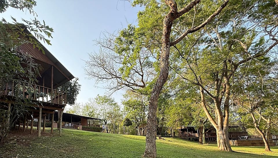 Natural landscape, Garden, Garden view