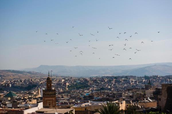 dar annee Bed and Breakfast in Fes