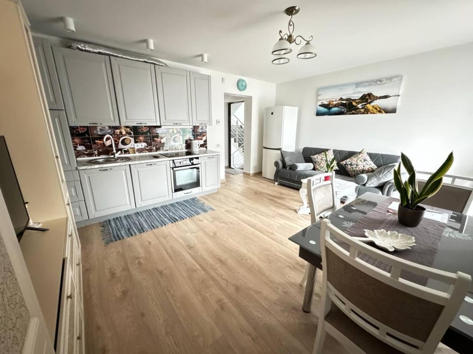 Kitchen or kitchenette, Living room, Dining area