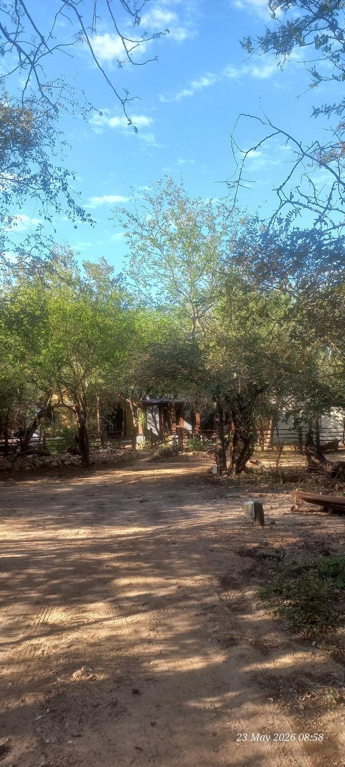 Unique Kruger Hide & Spa House in South Africa