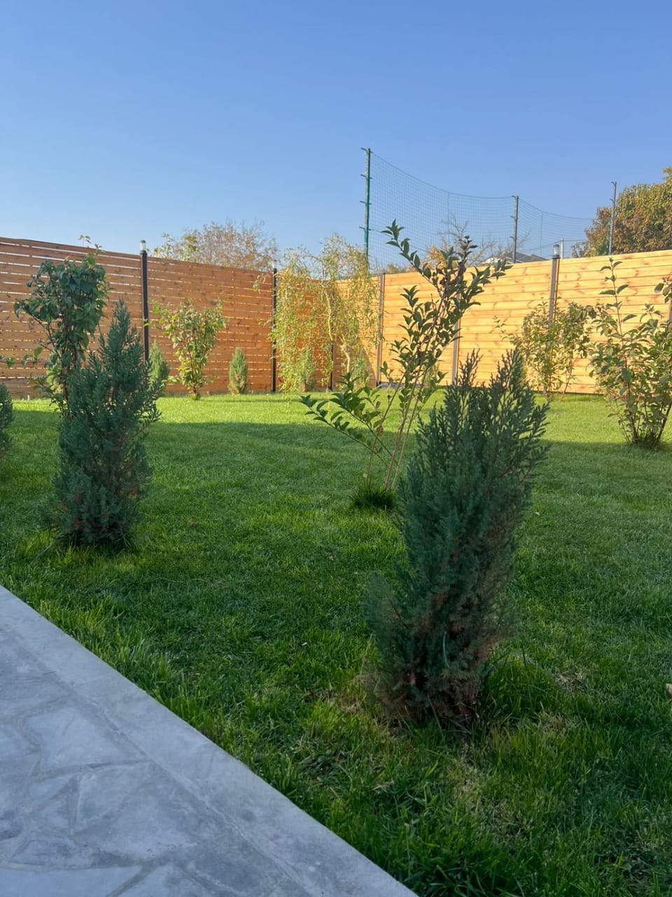 Spring, Day, Natural landscape, Garden, Garden view