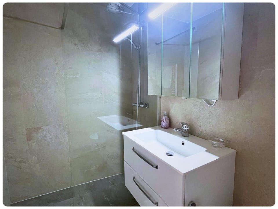 HSH Secret of Bechburg Apartment in Canton of Bern (Region)