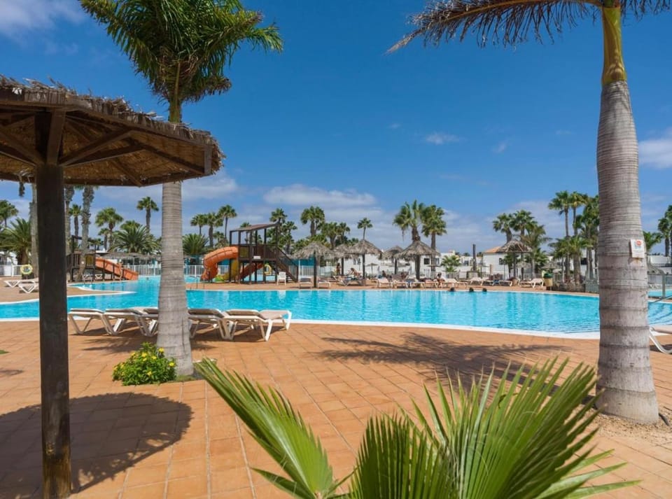 Day, Pool view, Swimming pool, sunbed