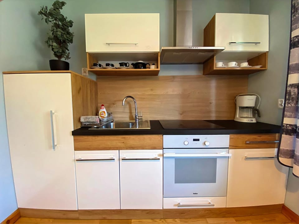 Kitchen or kitchenette, dishwasher, oven, stove