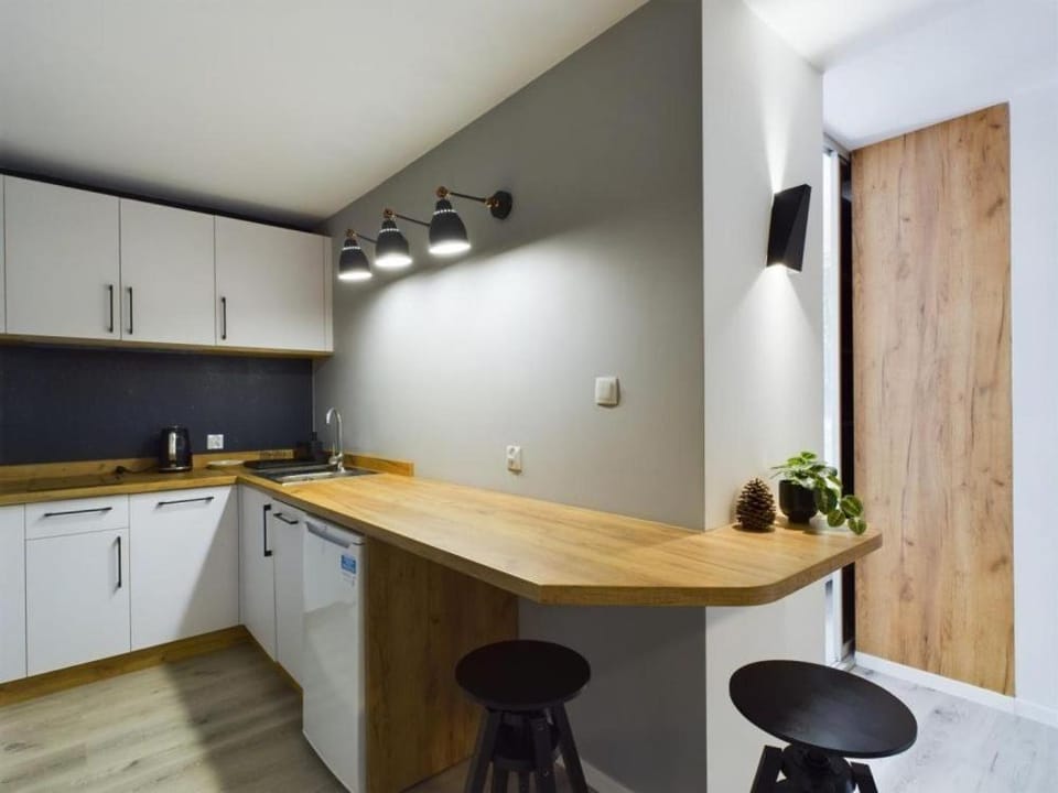 Kitchen or kitchenette, Dining area, stove