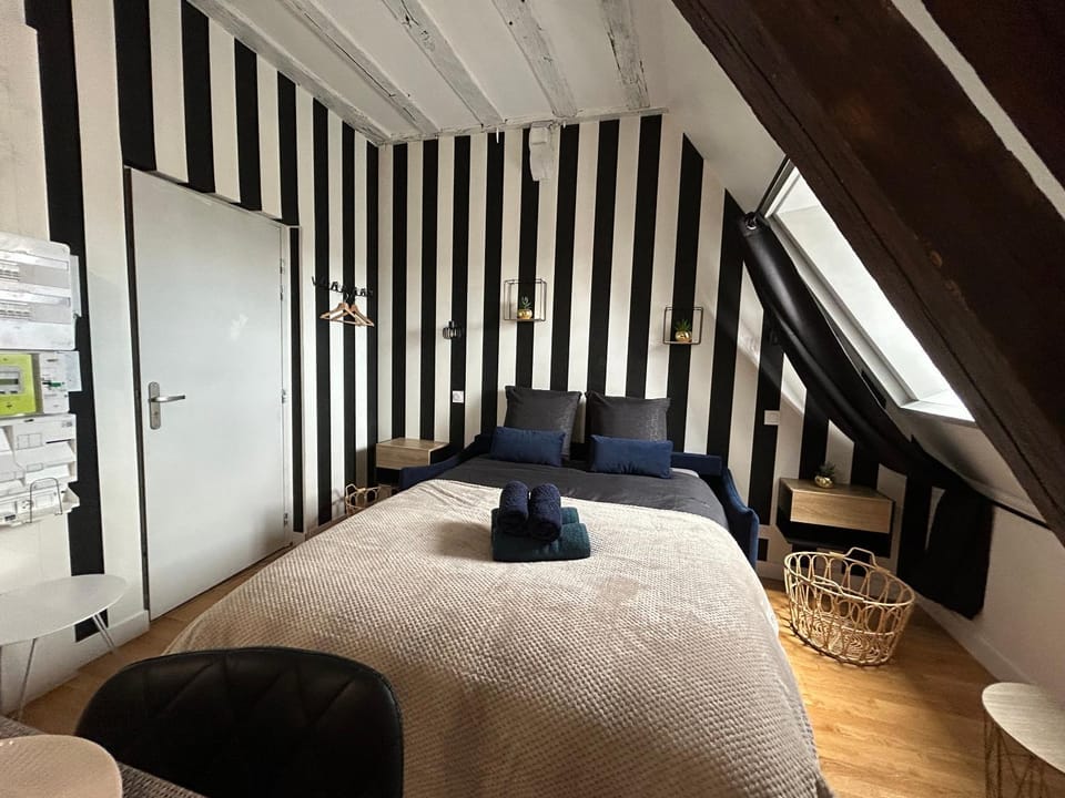 Le petit Lemullier, hypercenter Apartment in Dijon