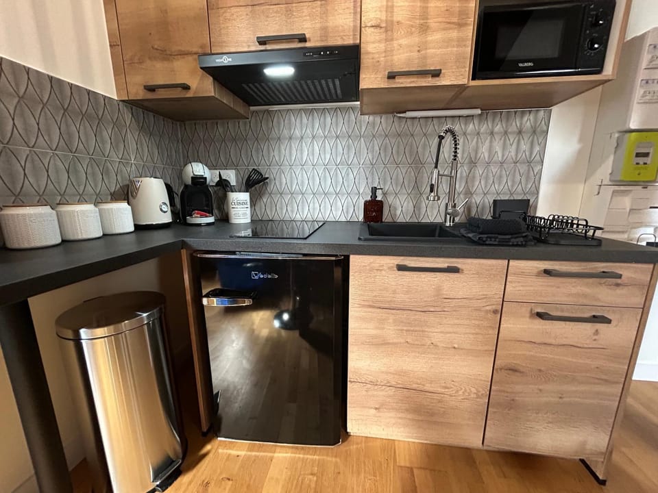 Le petit Lemullier, hypercenter Apartment in Dijon