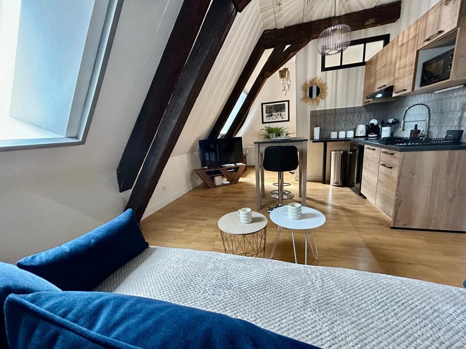 Le petit Lemullier, hypercenter Apartment in Dijon