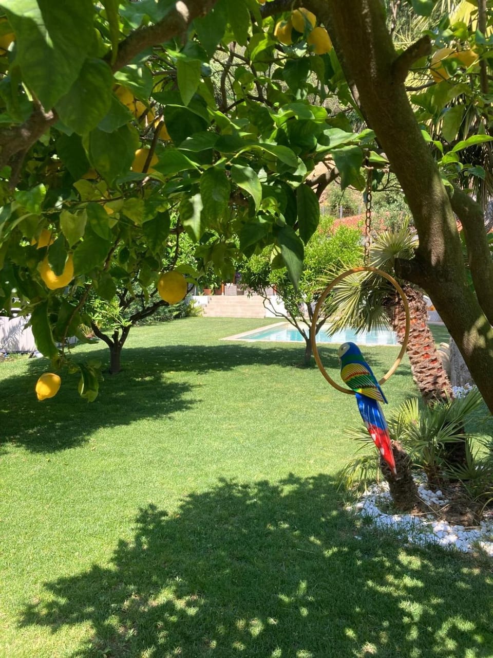 VILLA ROMA Resort Apartment in Liguria