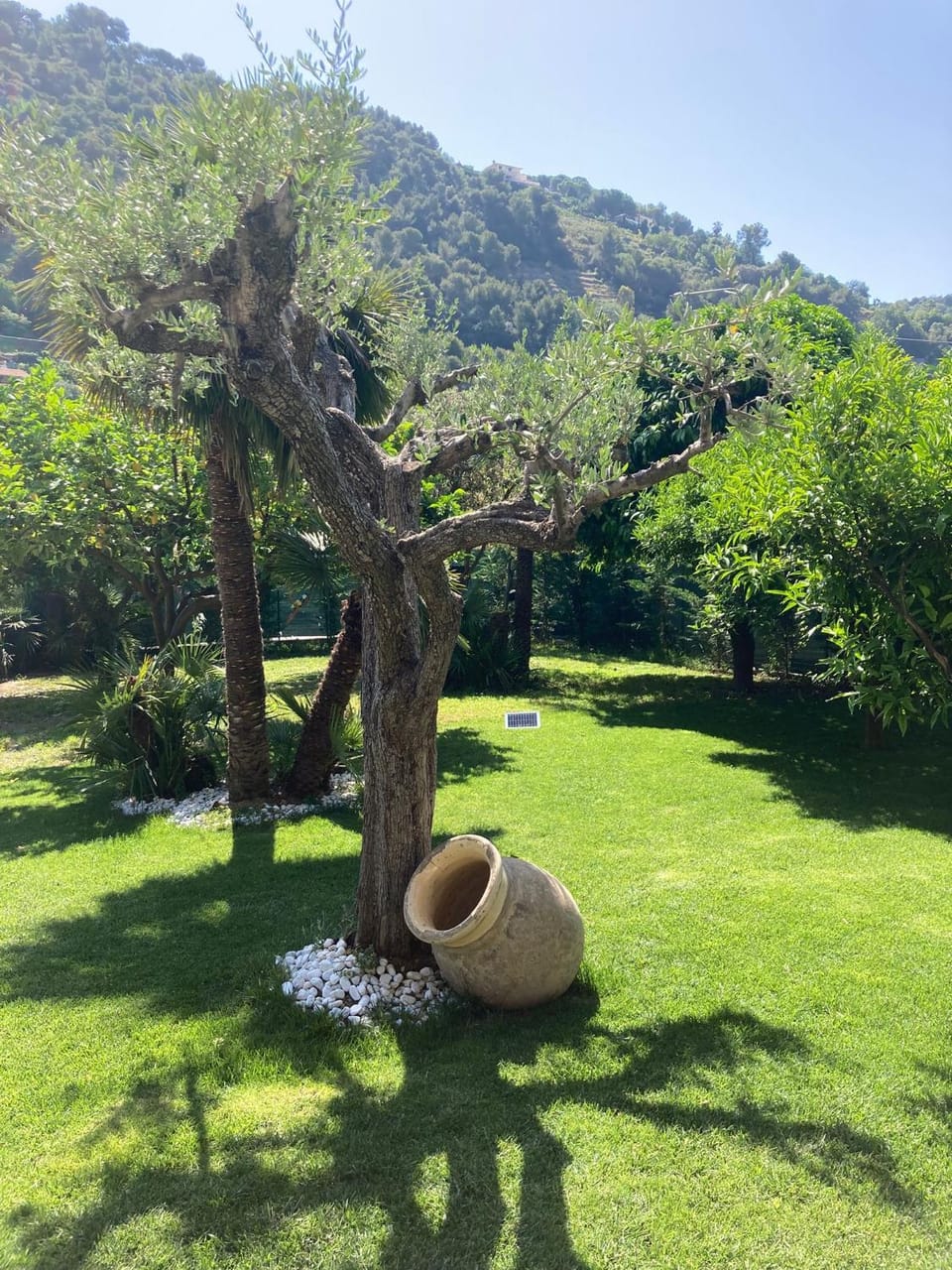 VILLA ROMA Resort Apartment in Liguria