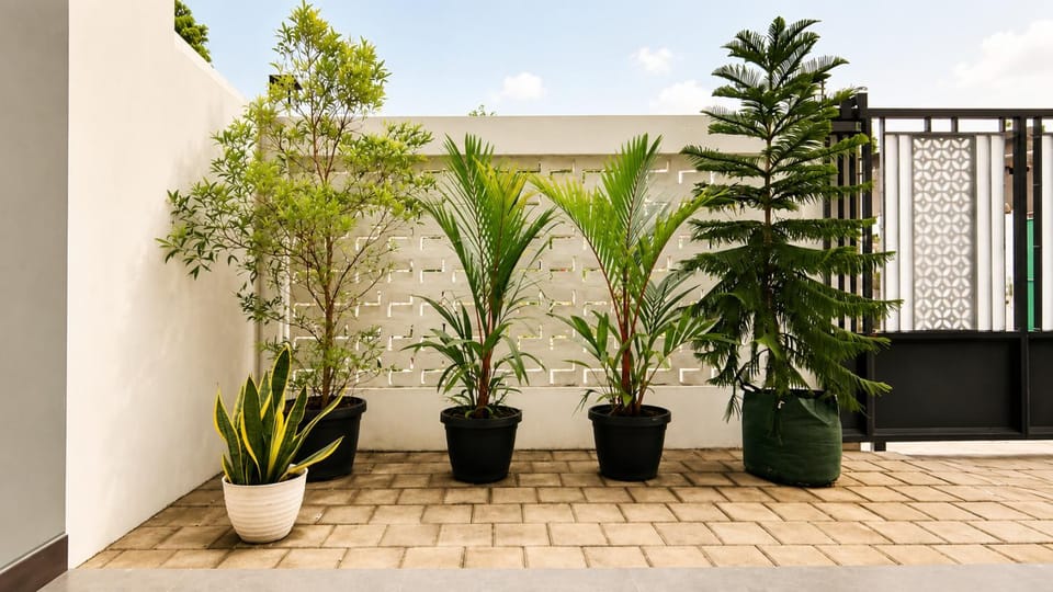 Day, Garden, Garden view