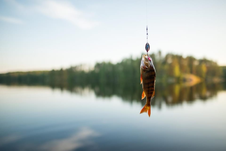 Day, Natural landscape, Activities, Fishing, Fishing, Lake view