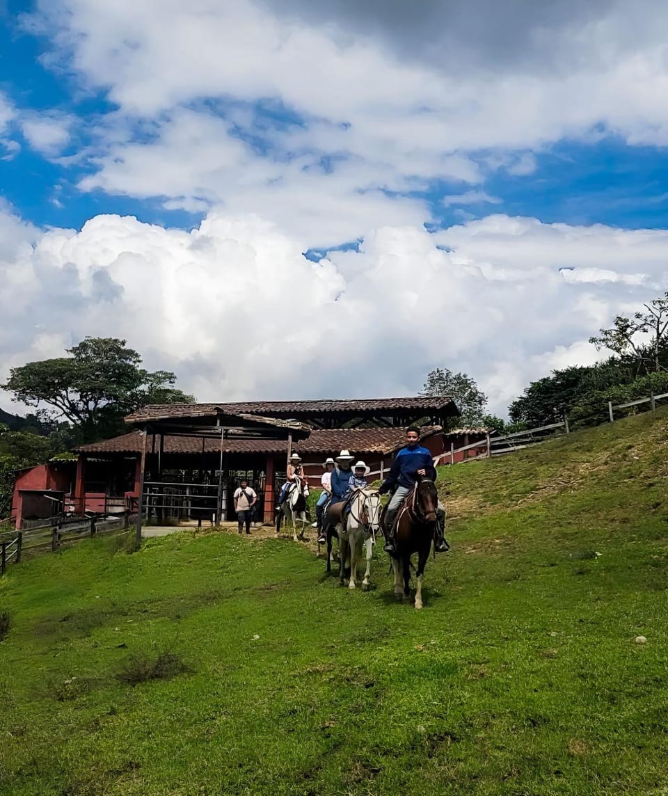People, Horse-riding, Horse-riding, Animals, group of guests