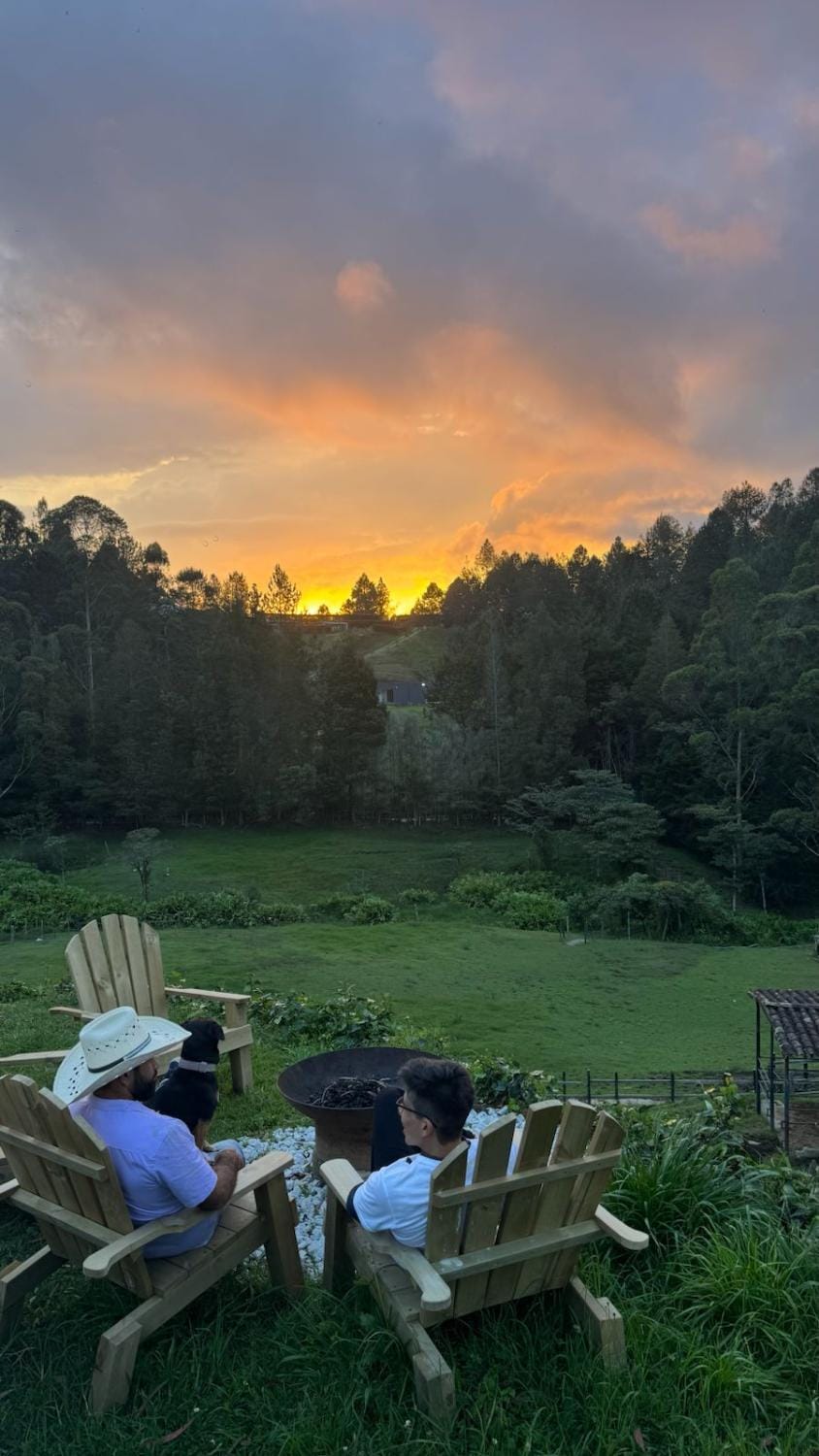 Sunrise, Sunset, group of guests