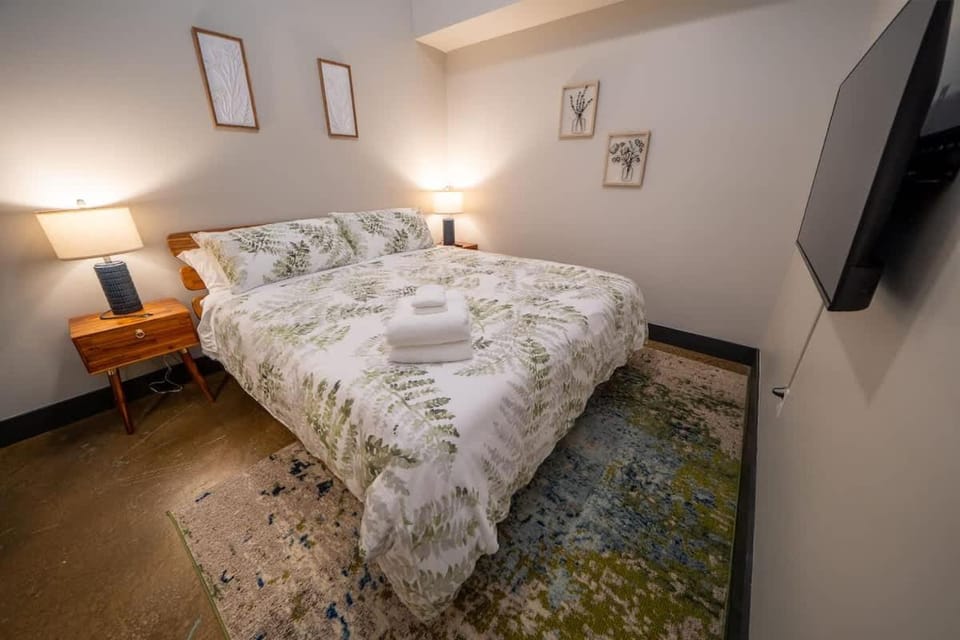 King bedroom Apartment - River - Brewery - Downtown Apartment in Shenandoah Valley