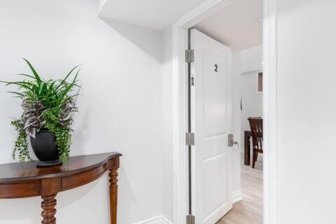 Cozy 1BR Lower Level Walking distance to shops House in Richmond Hill