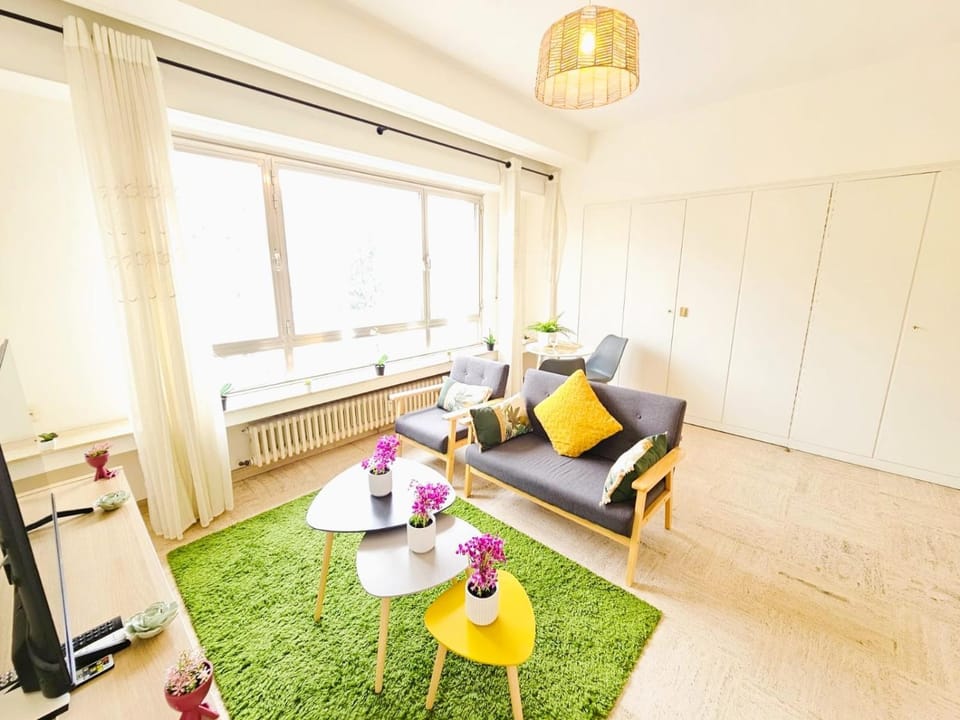 Bright Studio with outdoor balcony Apartment in Luxembourg