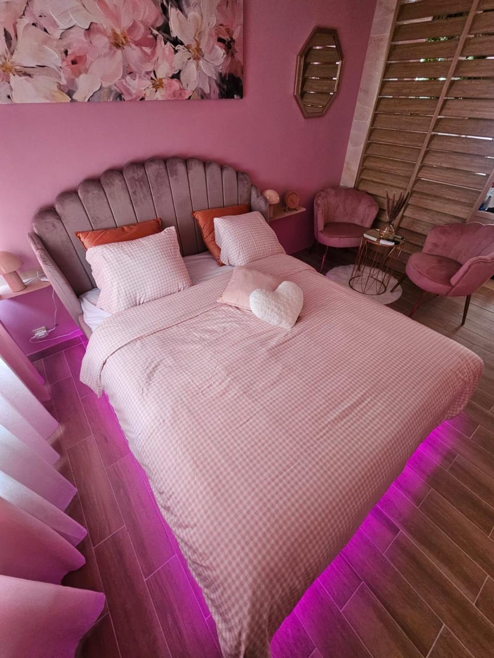 Le rêve rose Apartment in Besançon