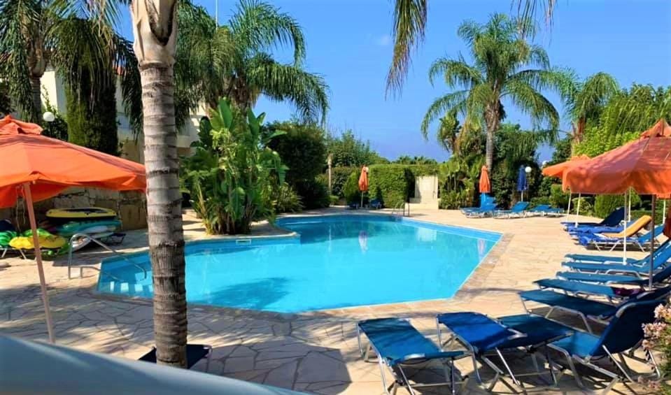 Garden, Swimming pool, sunbed