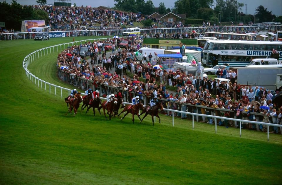 Day, People, Horse-riding, Animals, group of guests