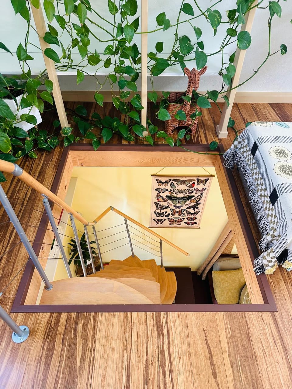 Living room, Bedroom