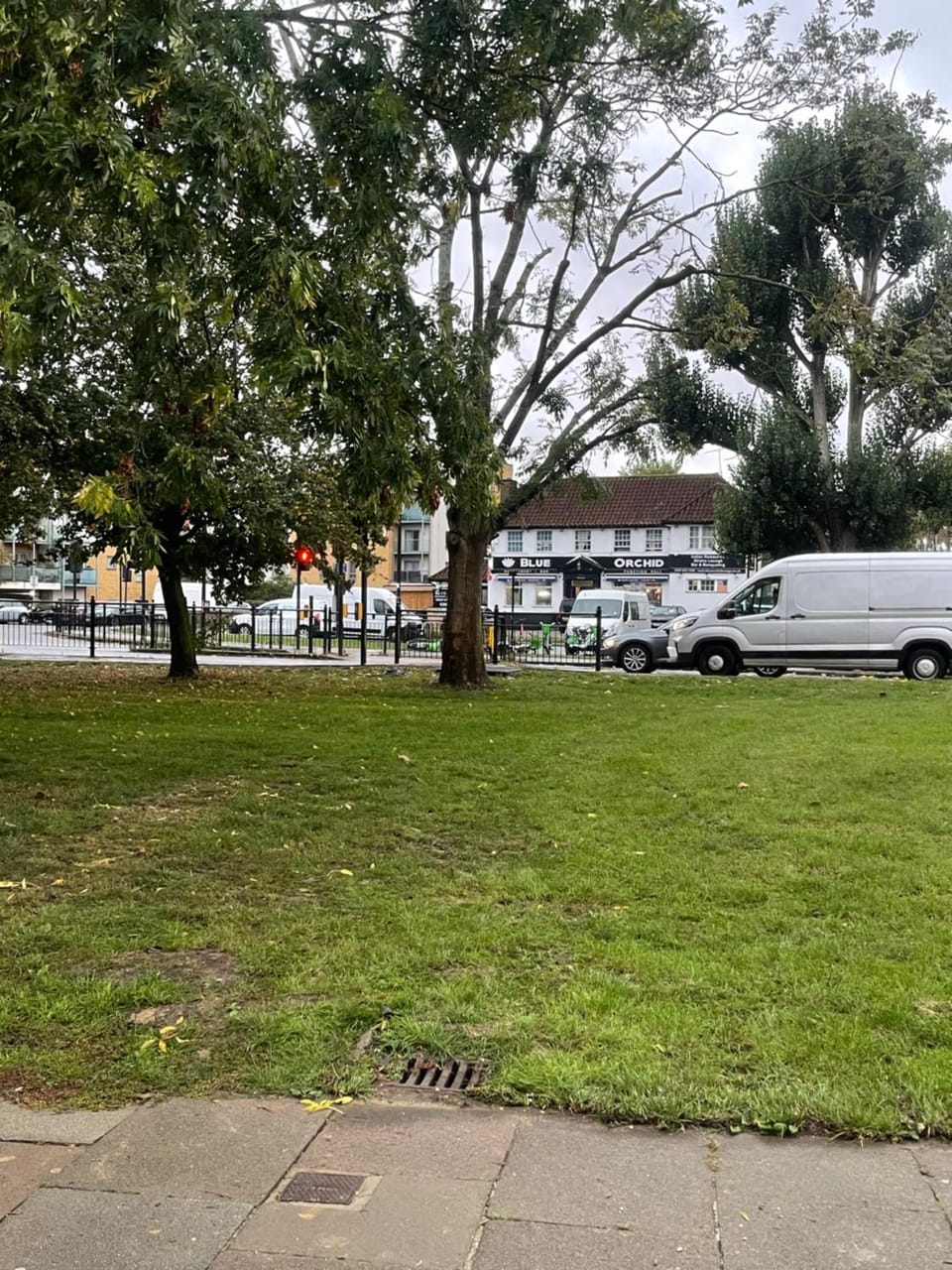 Natural landscape