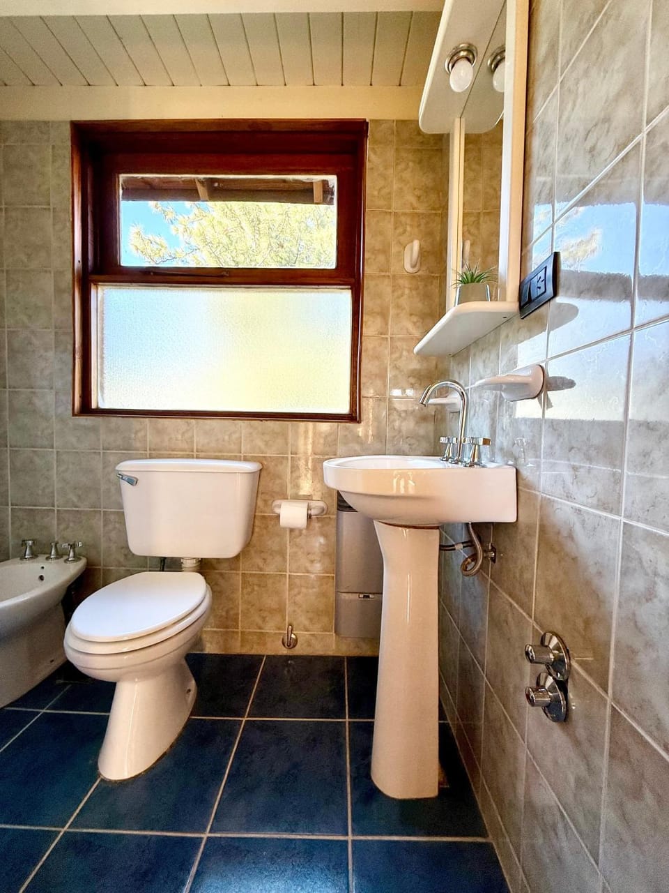 Toilet, Bathroom, bidet