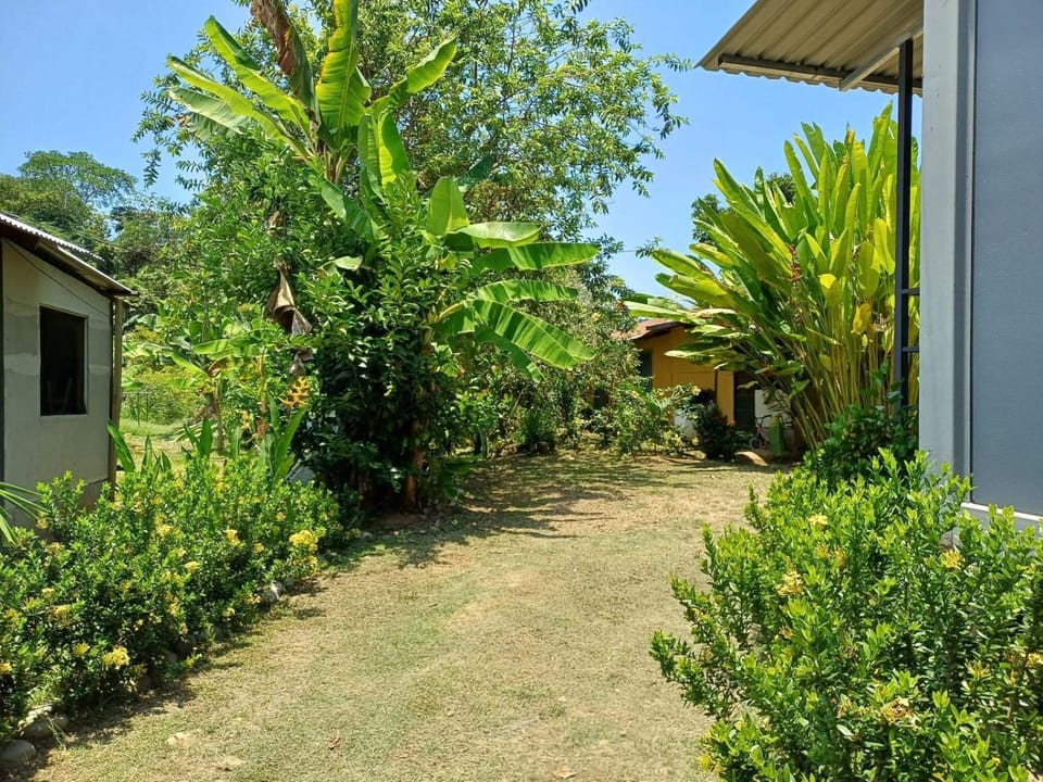Property building, Day, Garden, Garden view