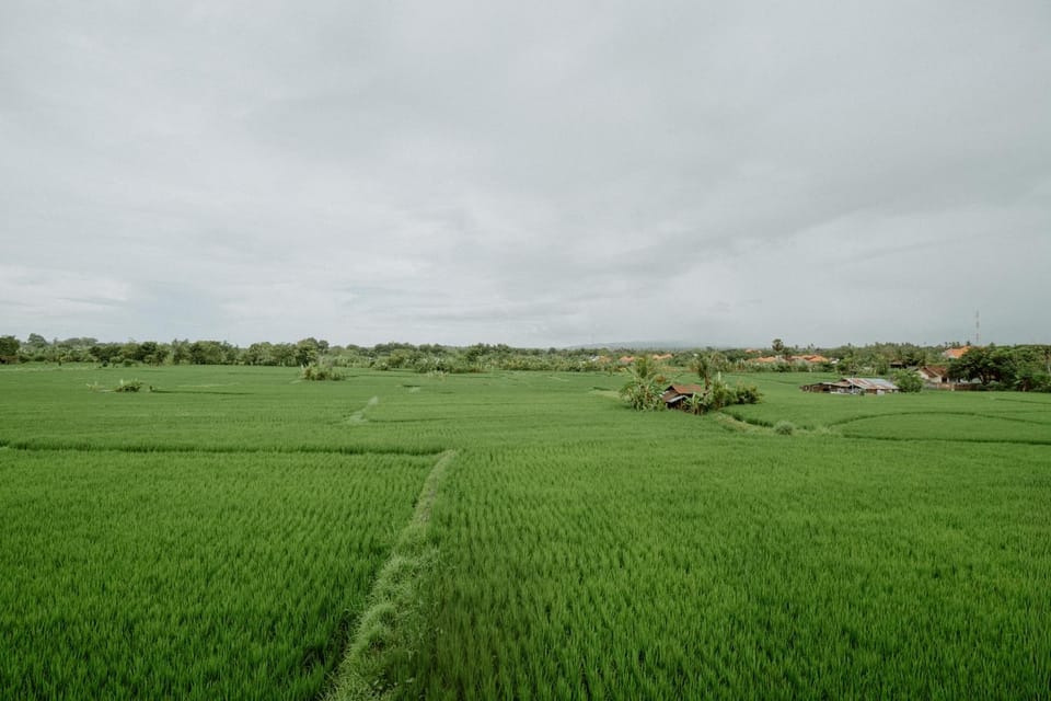 Spring, Day, Natural landscape