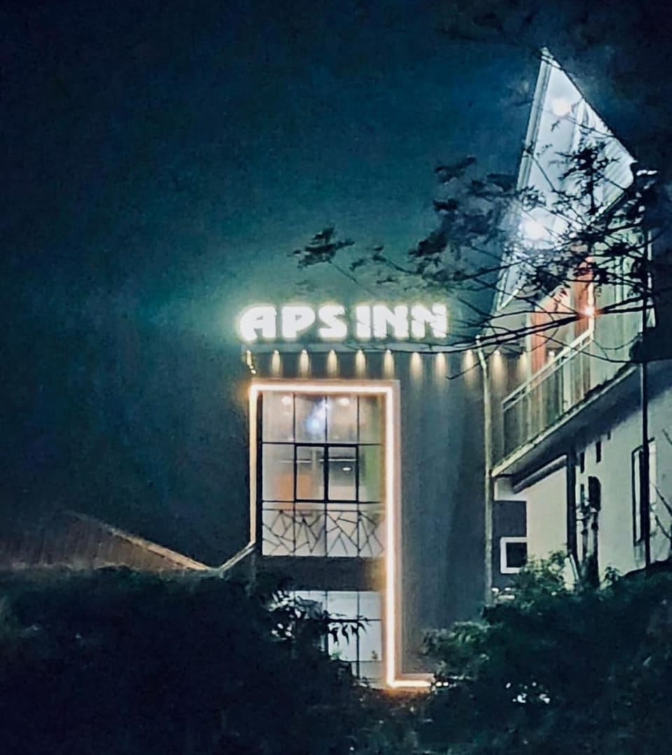 Aps inn munnar Nature lodge in Munnar