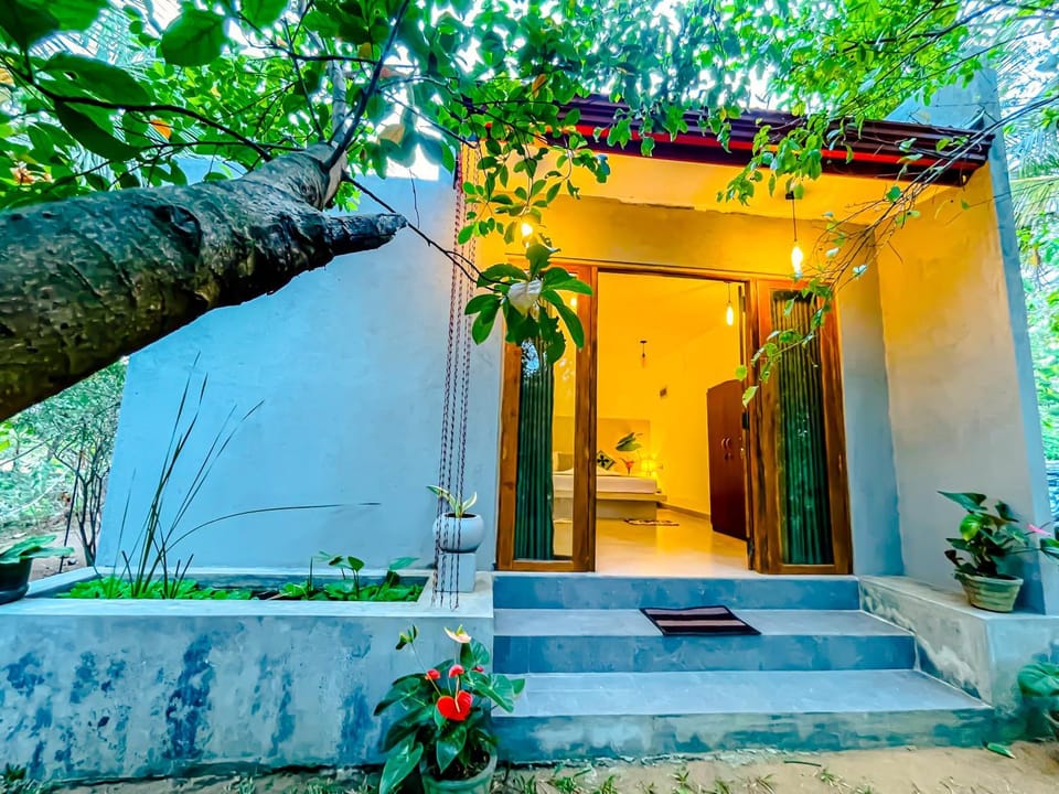 Property building, Patio, Spring, Day, Garden, Garden view