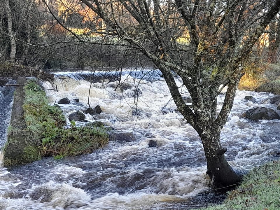 St Moling's Well House,off grid,and Gardens House in County Kilkenny