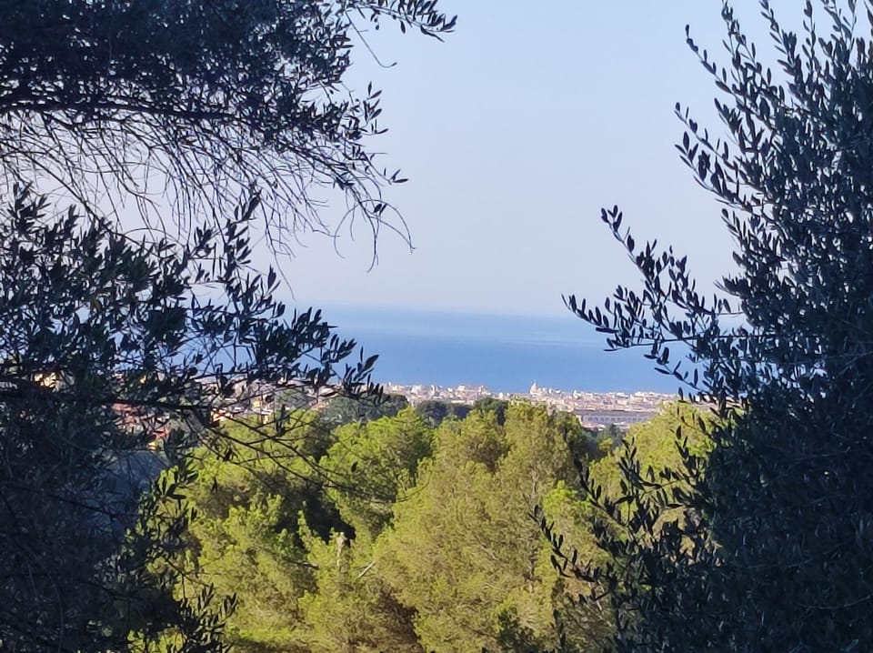 F2 vue mer et montagne au calme Apartment in Nice
