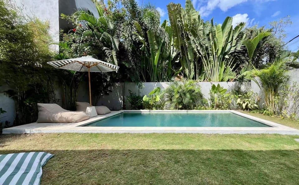 Garden, Garden view, Swimming pool, Swimming pool