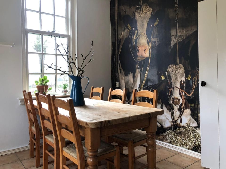 Froukjes Erf Villa in Drenthe (province)