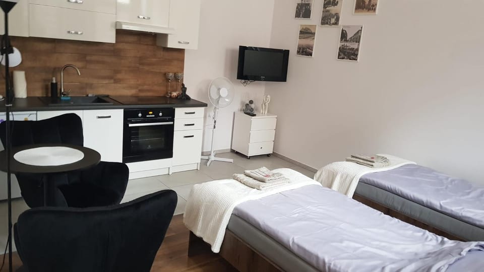 Apartament 1 Apartment in Lesser Poland Voivodeship