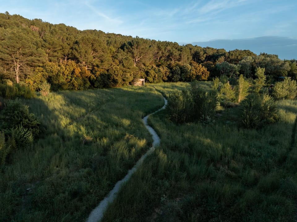 Suites Immersion au Mas des Prêcheurs Bed and Breakfast in Tarascon