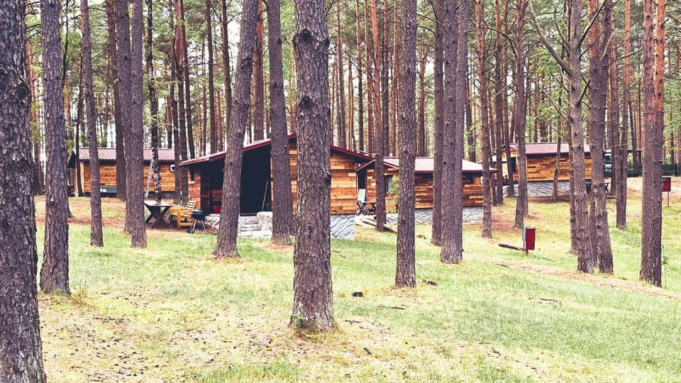 Property building, Spring, Day, Natural landscape