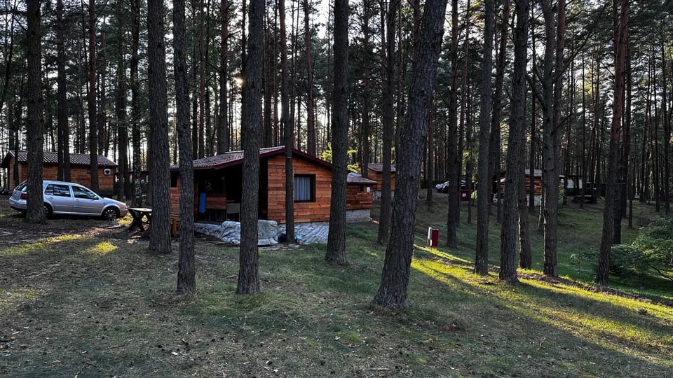 Property building, Spring, Day, Natural landscape, Garden, Parking