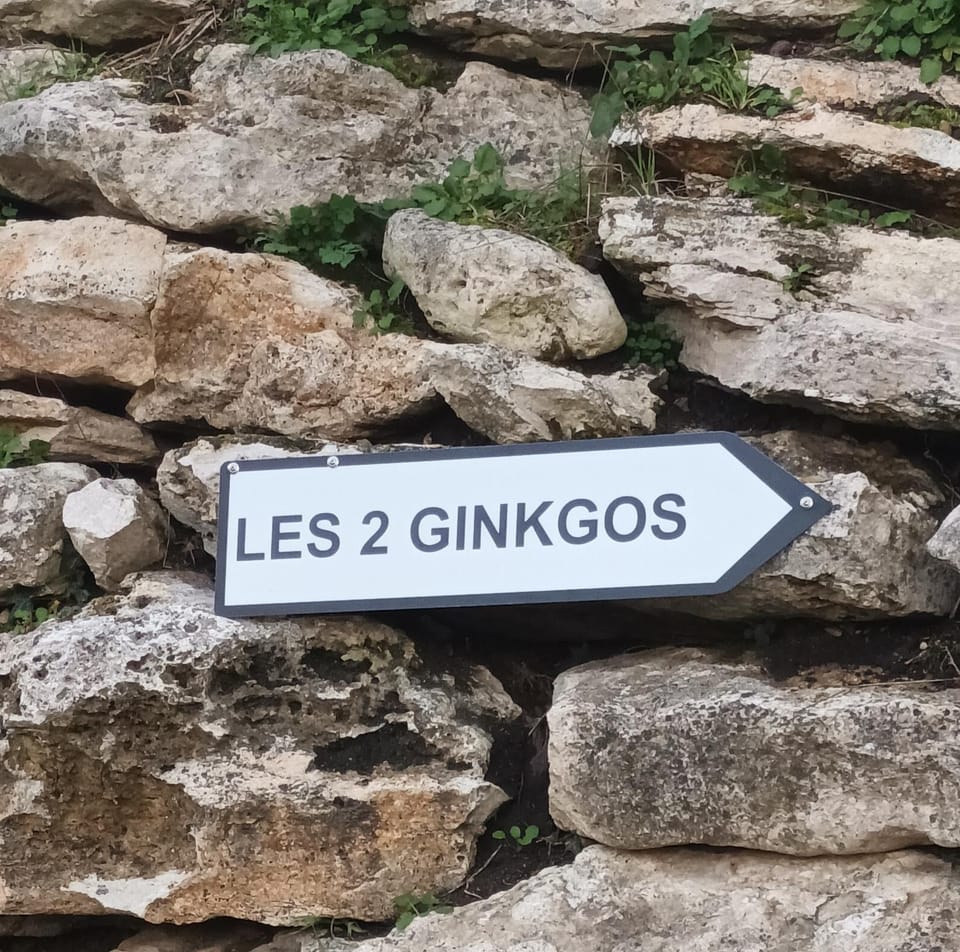 Les 2 Ginkgos à 5 minutes de Beauval Bed and Breakfast in Centre-Val de Loire