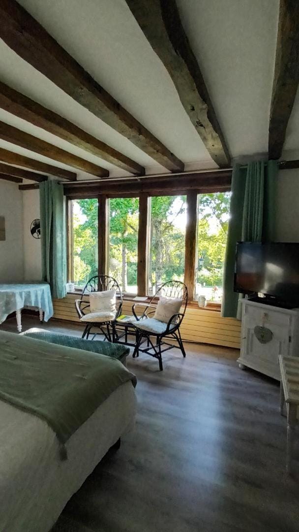 Photo of the whole room, Garden view