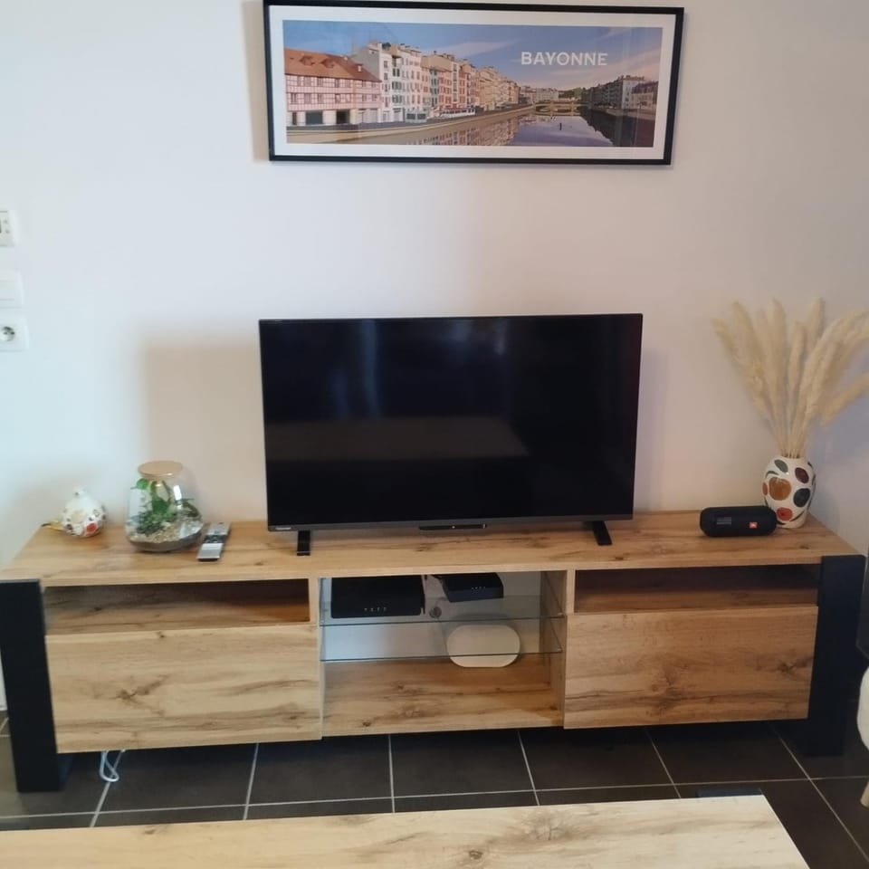 TV and multimedia