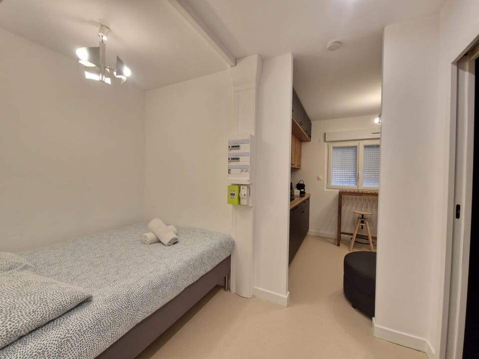 Les Violettes #Parking#Confort Apartment in Clermont-Ferrand