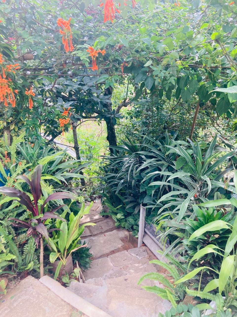 Shalom place Bed and Breakfast in Uva Province, Sri Lanka