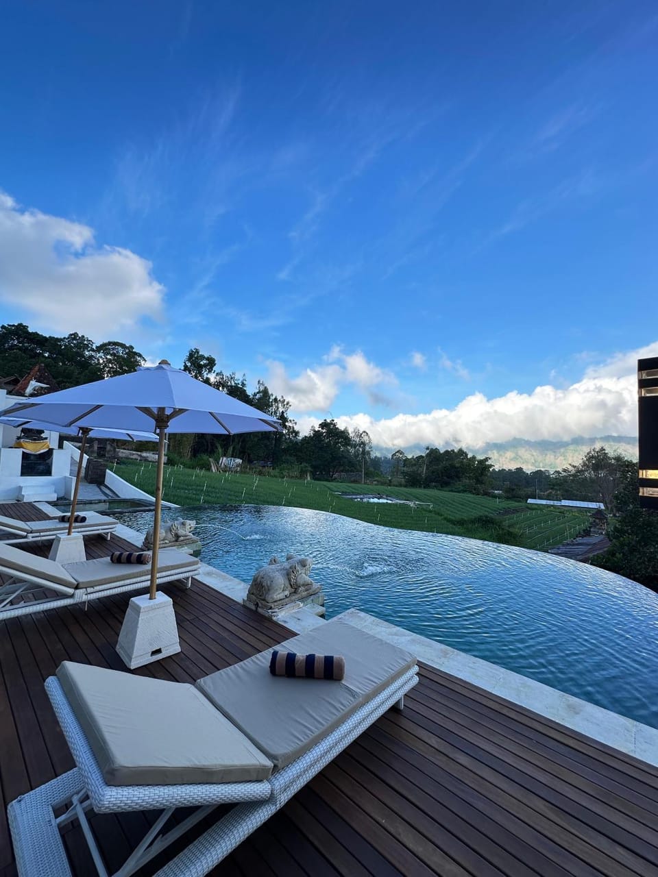 Swimming pool, Swimming pool