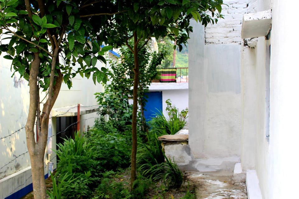 Day, Garden view