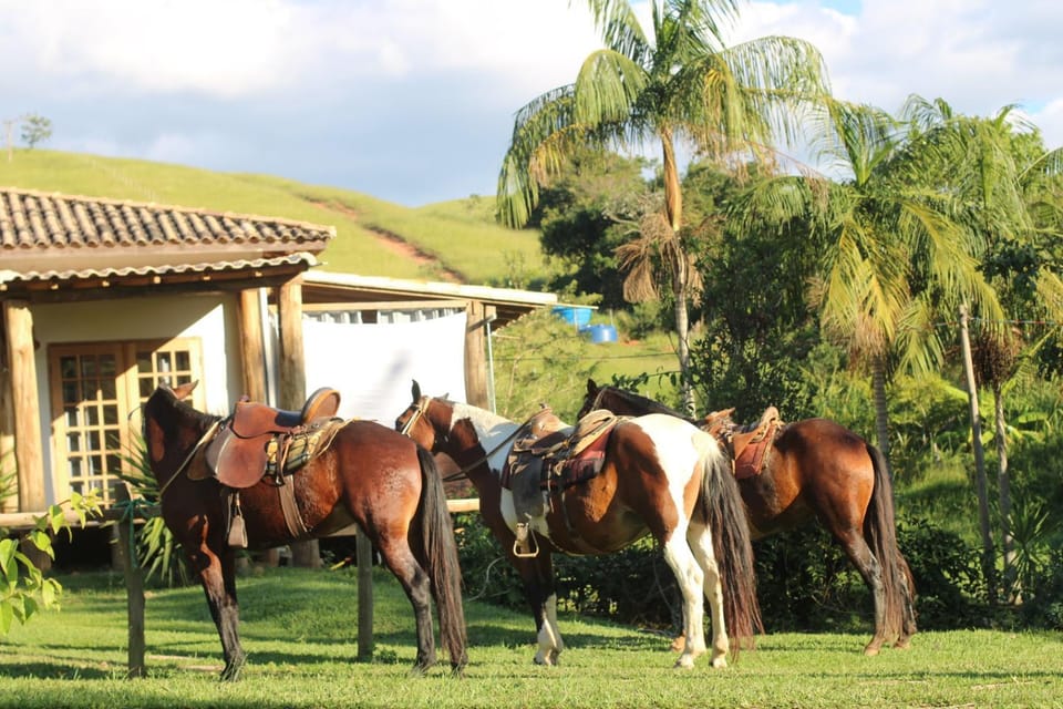 Pousada Fazenda Panorama Farm Stay in State of Rio de Janeiro